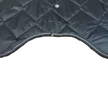 Preview: Thermomatten schwarz VW ID BUZZ Fahrerhaus