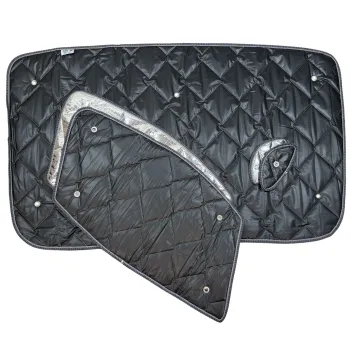 Thermomatten schwarz Nissan NV 200 (2009-2021) Fahrerhaus