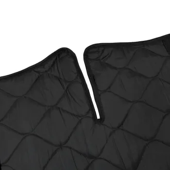Preview: Detailansicht Frontmatte Ausschnitt