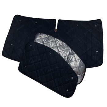 Thermomatten Fahrerhaus mit schwarzer Innenseite und silberner Außenseite