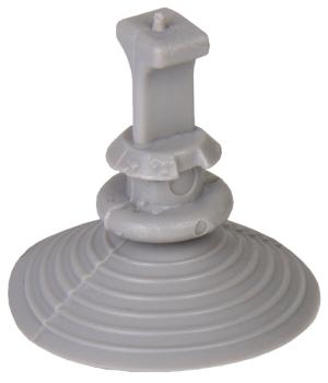 Nahaufnahme Saugnapf