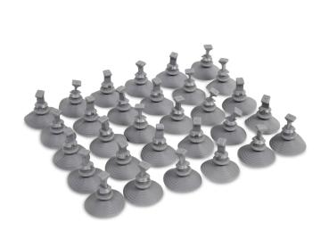 Nahaufnahme von den Saugnäpfen