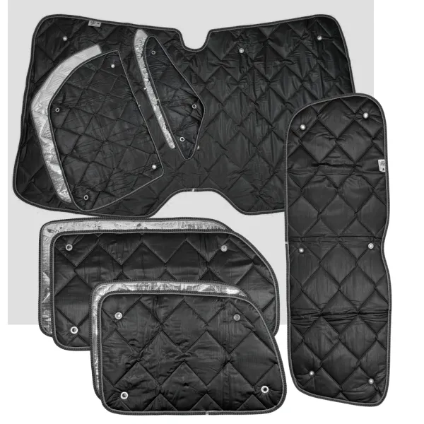 Set: Thermomatten Komplettset 10-teilig schwarz VW ID BUZZ kurzer Radstand