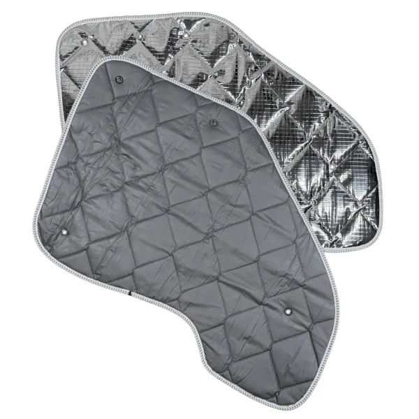 Thermomatten Fahrerhaus Ford Transit 2006-2013
