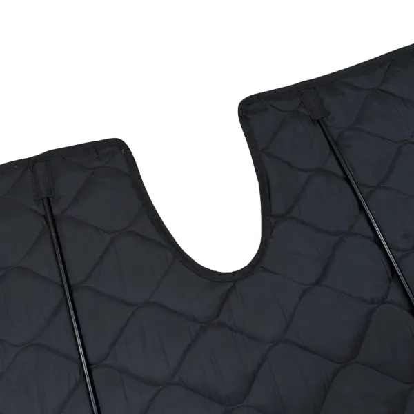 Detailansicht Frontmatte Ausschnitt