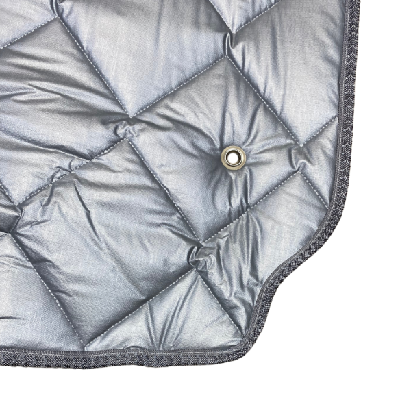 Thermomatte Frontscheibe Ausschnitt