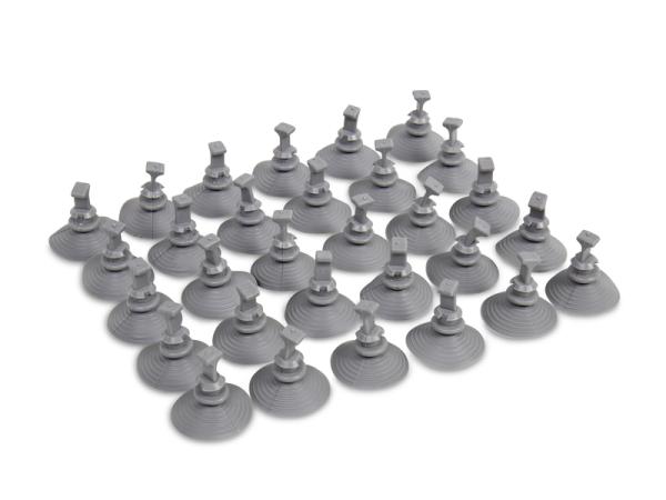 Nahaufnahme von den Saugnäpfen